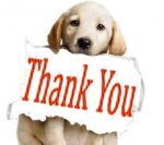 Thank-you2