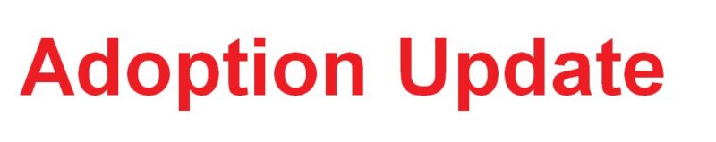 Adoption Update Header
