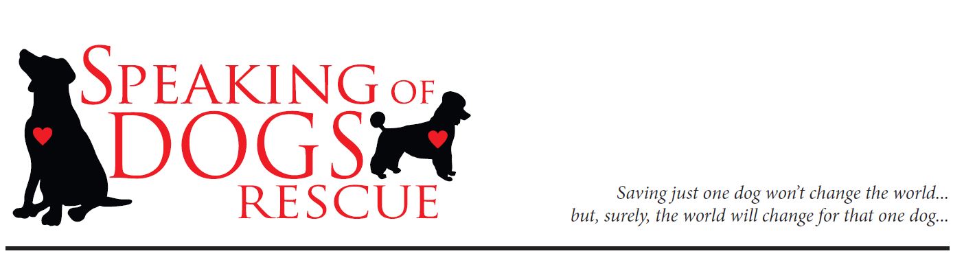 Logo header