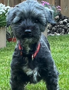 Winnie2