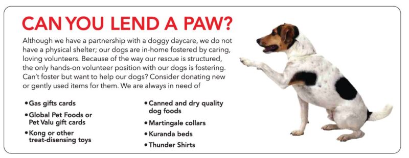 lend a paw