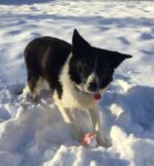 Neev_FIF_2023