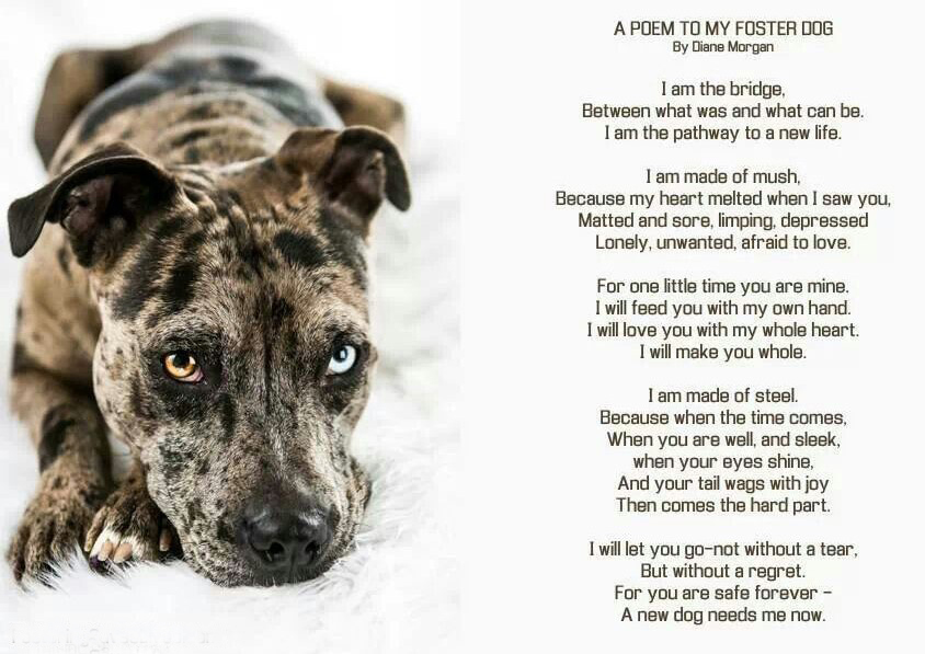 Foster Mothers Piece