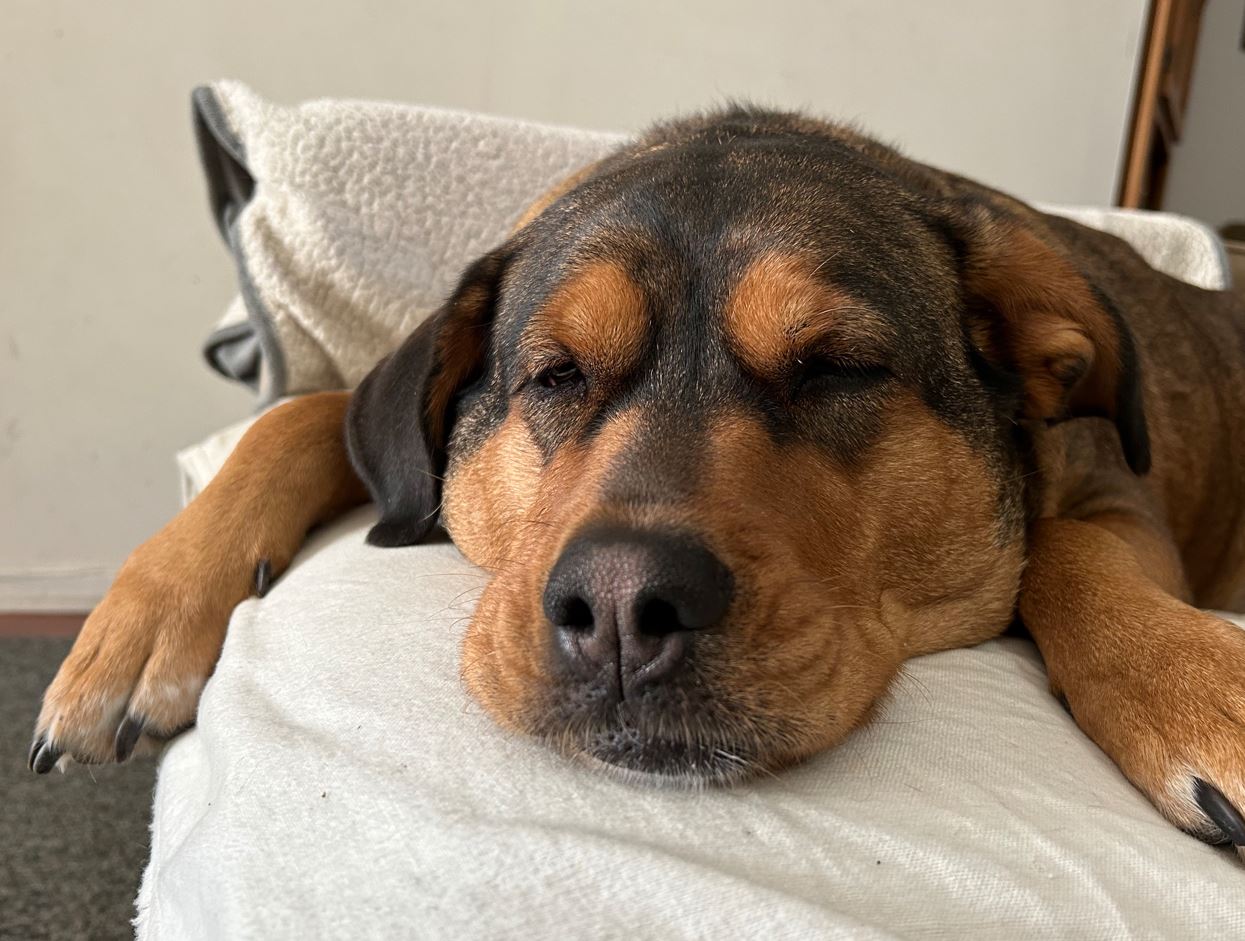 Danny_Sleepy