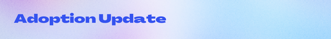 adoption update