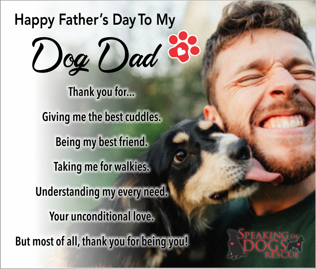 fb_DogDad