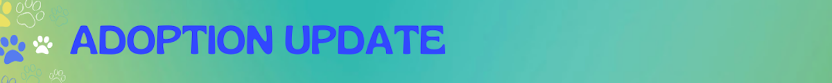 Adoption Update