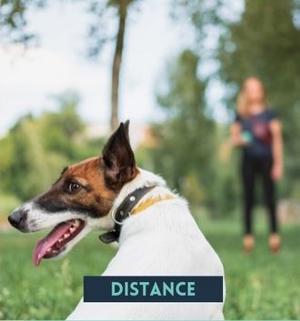 Distance