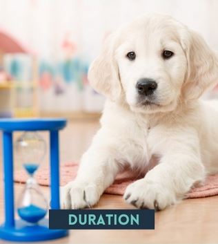 Duration