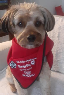 Chloe_AdoptionUpdate