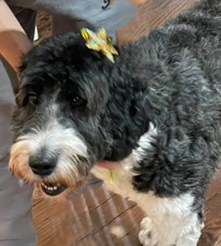 Matilda_update