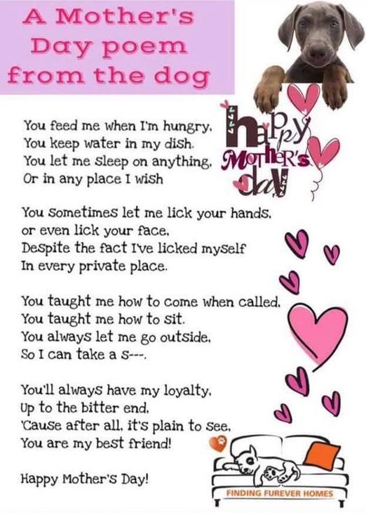 MothersDayPoem1