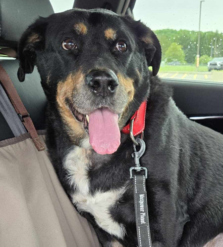 Maya_Adopted