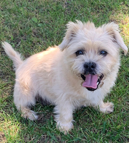Daisy_Adopted