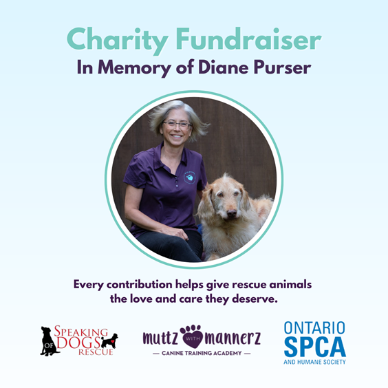 DianePurserFundraiser