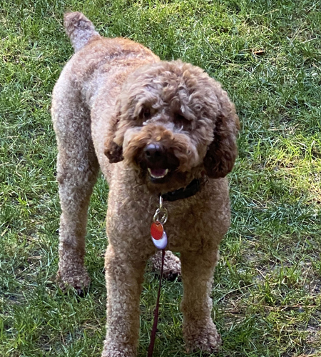Murphy
