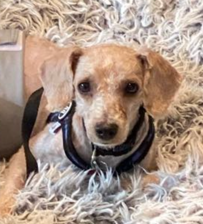 Screenshot 2025-01-05 at 2.21.57 PM