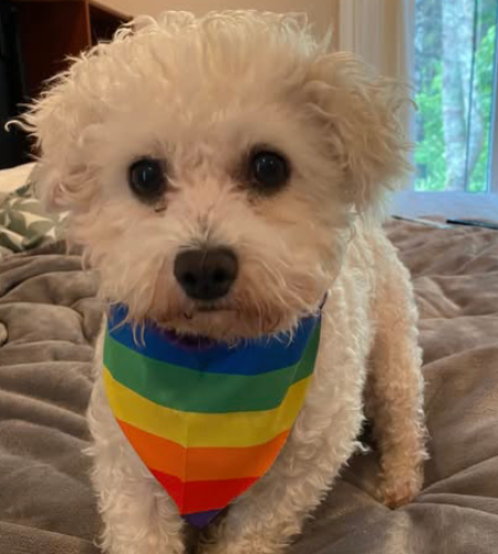 Pippa_pride