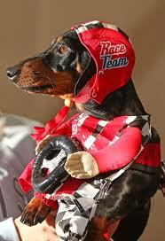 Racingdog