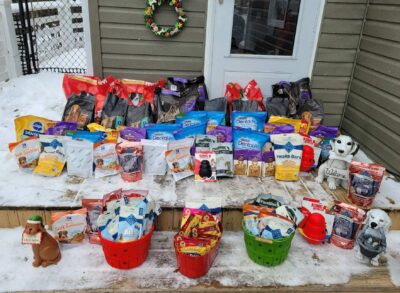 steps of house covered in donations for the dogs