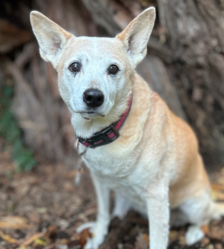 Lady_InMemory Lady In Memory