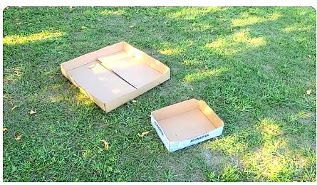two shallow empty cardboard boxes on grass