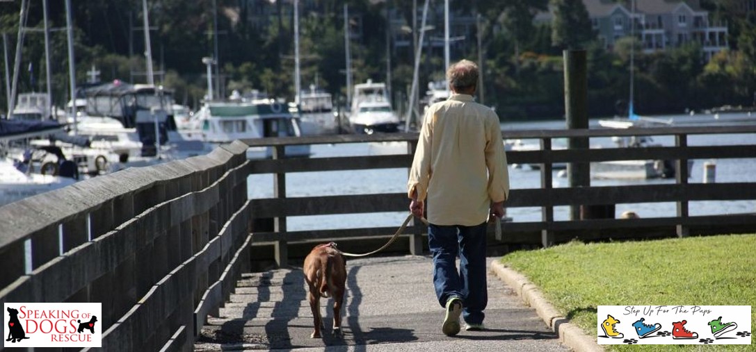 MainImageWithLogo2026