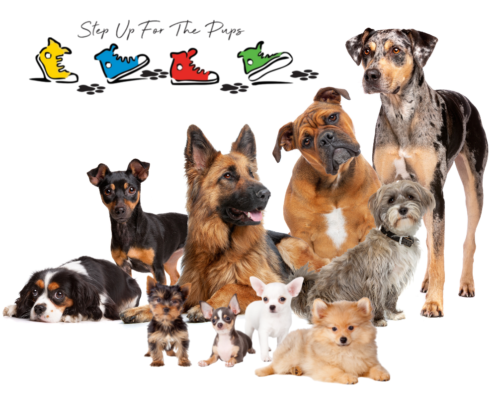 group of dogs
