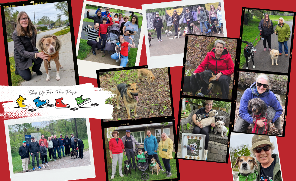 collage of people and dogs who participated in Step Up for the Pups
