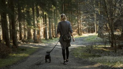 person walking their dog on a trail