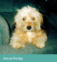 Jerry the dog