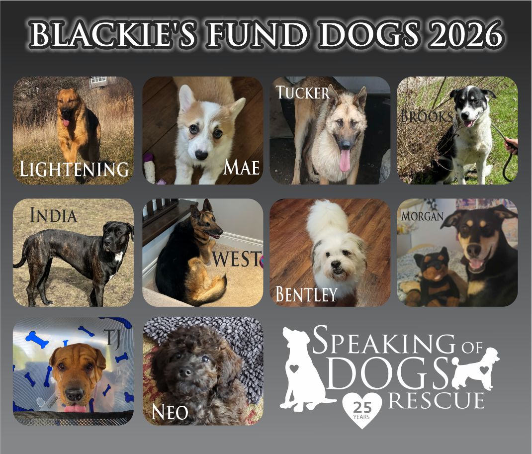 BlackiesFB_2026-1